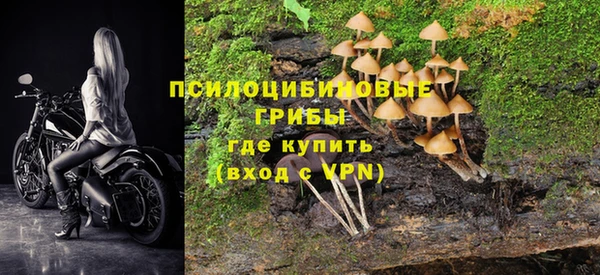 мескалин Козловка