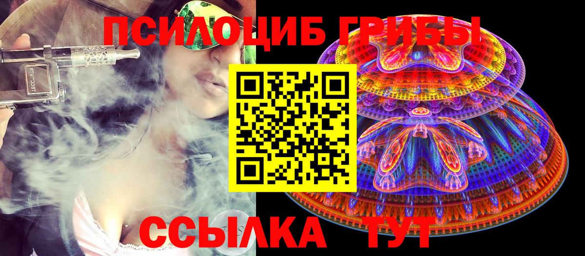 Псилоцибиновые грибы прущие грибы  Вход с VPN  Таганрог  хочу   Галлюциногенные грибы Psilocybe 